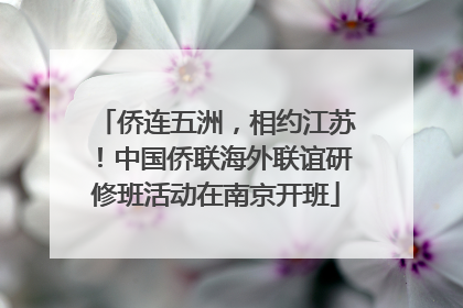 侨连五洲，相约江苏！中国侨联海外联谊研修班活动在南京开班
