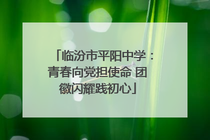 临汾市平阳中学：青春向党担使命 团徽闪耀践初心