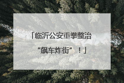 临沂公安重拳整治“飙车炸街”！