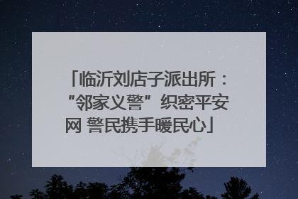 临沂刘店子派出所：“邻家义警”织密平安网 警民携手暖民心