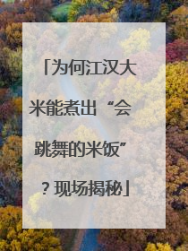 为何江汉大米能煮出“会跳舞的米饭”？现场揭秘