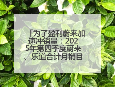 为了盈利蔚来加速冲销量：2025年第四季度蔚来、乐道合计月销目标达5万辆