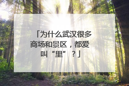 为什么武汉很多商场和景区，都爱叫“里”？