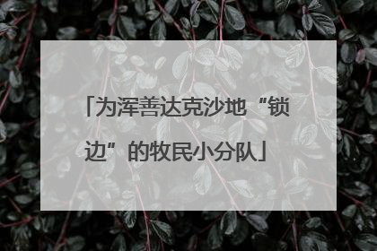 为浑善达克沙地“锁边”的牧民小分队