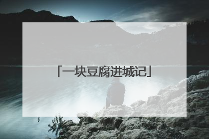 一块豆腐进城记