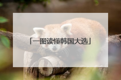 一图读懂韩国大选