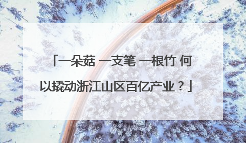 一朵菇 一支笔 一根竹 何以撬动浙江山区百亿产业？