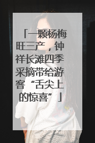 一颗杨梅旺三产，钟祥长滩四季采摘带给游客“舌尖上的惊喜”