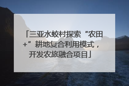 三亚水蛟村探索“农田+”耕地复合利用模式，开发农旅融合项目