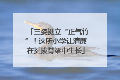 三姿挺立“正气竹”！这所小学让清廉在挺拔脊梁中生长