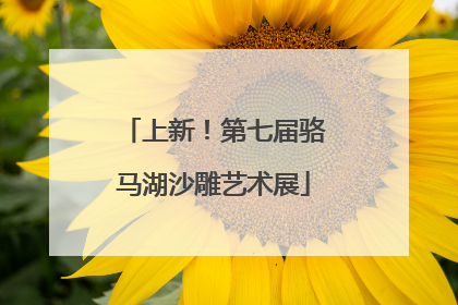 上新！第七届骆马湖沙雕艺术展