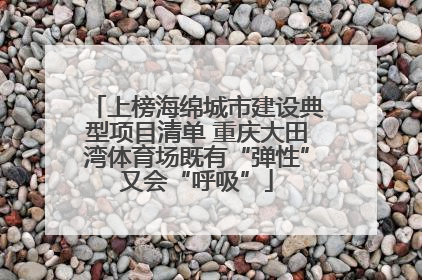 上榜海绵城市建设典型项目清单 重庆大田湾体育场既有“弹性”又会“呼吸”