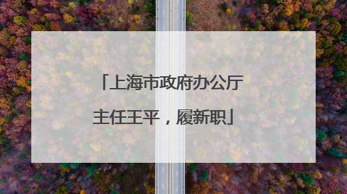 上海市政府办公厅主任王平，履新职