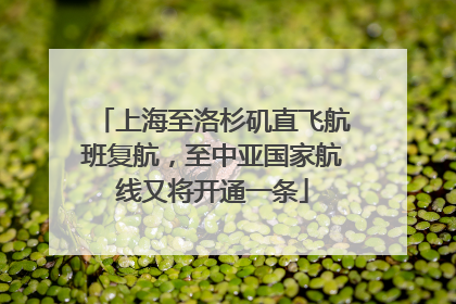上海至洛杉矶直飞航班复航，至中亚国家航线又将开通一条
