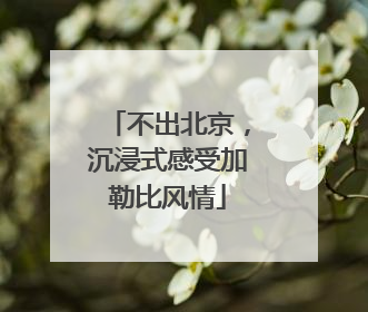 不出北京，沉浸式感受加勒比风情