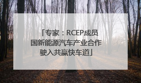 专家：RCEP成员国新能源汽车产业合作驶入共赢快车道