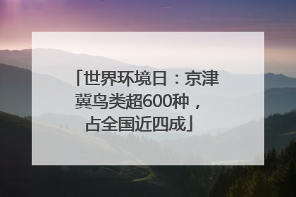 世界环境日：京津冀鸟类超600种，占全国近四成