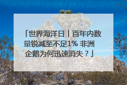 世界海洋日丨百年内数量锐减至不足1% 非洲企鹅为何迅速消失？
