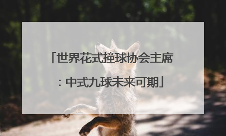 世界花式撞球协会主席：中式九球未来可期