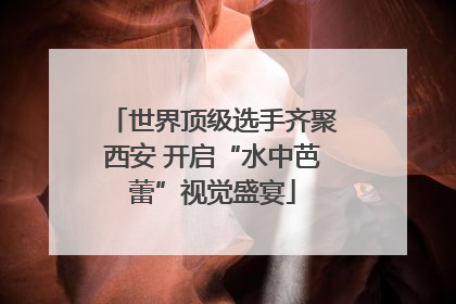 世界顶级选手齐聚西安 开启“水中芭蕾”视觉盛宴
