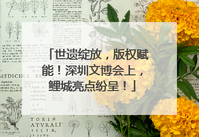 世遗绽放，版权赋能！深圳文博会上，鲤城亮点纷呈！