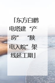 东方白鹳电塔建“产房” “陕电入皖”架线延工期