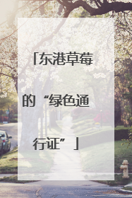 东港草莓的“绿色通行证”