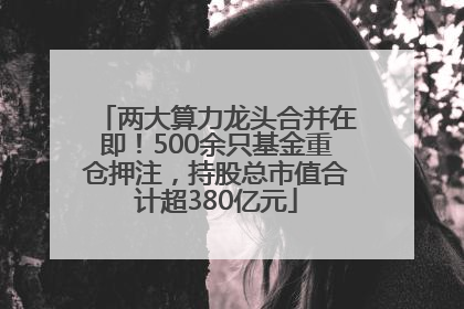 两大算力龙头合并在即！500余只基金重仓押注，持股总市值合计超380亿元