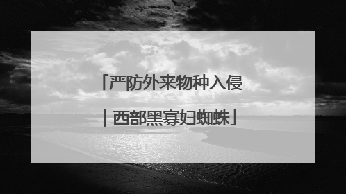 严防外来物种入侵｜西部黑寡妇蜘蛛