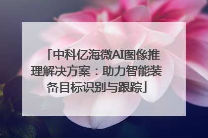 中科亿海微AI图像推理解决方案：助力智能装备目标识别与跟踪
