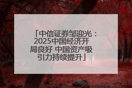 中信证券邹迎光：2025中国经济开局良好 中国资产吸引力持续提升