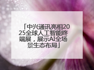 中兴通讯亮相2025全球人工智能终端展，展示AI全场景生态布局