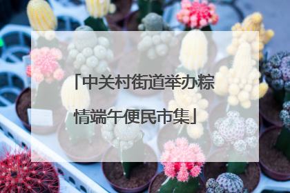 中关村街道举办粽情端午便民市集