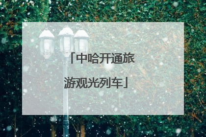 中哈开通旅游观光列车