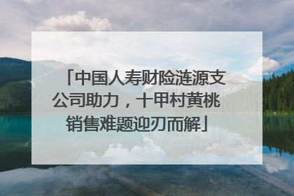 中国人寿财险涟源支公司助力，十甲村黄桃销售难题迎刃而解
