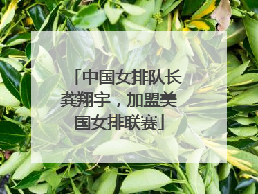 中国女排队长龚翔宇，加盟美国女排联赛