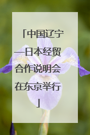 中国辽宁—日本经贸合作说明会在东京举行