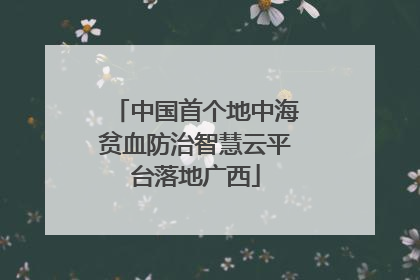 中国首个地中海贫血防治智慧云平台落地广西
