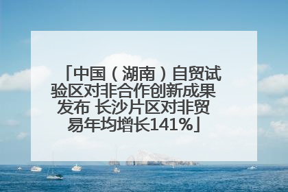 中国（湖南）自贸试验区对非合作创新成果发布 长沙片区对非贸易年均增长141%