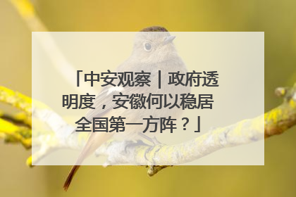中安观察｜政府透明度，安徽何以稳居全国第一方阵？