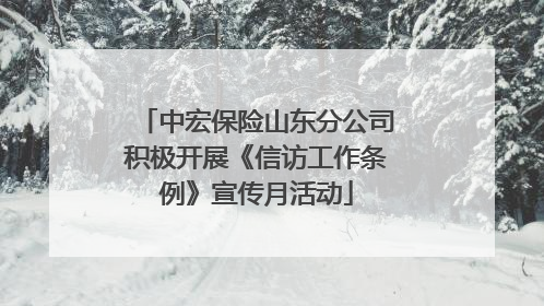 中宏保险山东分公司积极开展《信访工作条例》宣传月活动