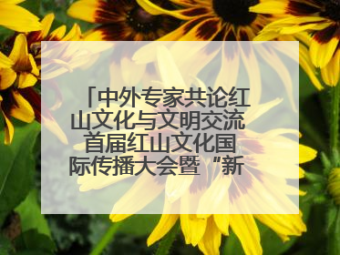 中外专家共论红山文化与文明交流 首届红山文化国际传播大会暨“新时代大讲堂”在辽宁朝阳举办