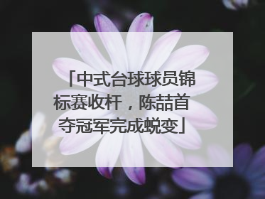 中式台球球员锦标赛收杆，陈喆首夺冠军完成蜕变