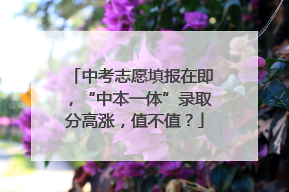 中考志愿填报在即，“中本一体”录取分高涨，值不值？
