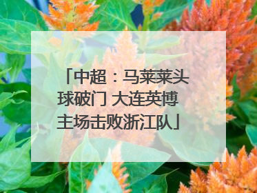 中超：马莱莱头球破门 大连英博主场击败浙江队