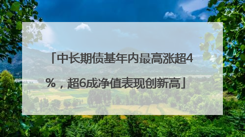 中长期债基年内最高涨超4%，超6成净值表现创新高