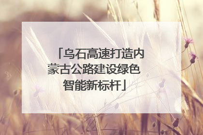 乌石高速打造内蒙古公路建设绿色智能新标杆