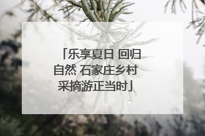 乐享夏日 回归自然 石家庄乡村采摘游正当时