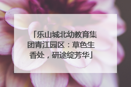 乐山城北幼教育集团青江园区：草色生香处，研途绽芳华