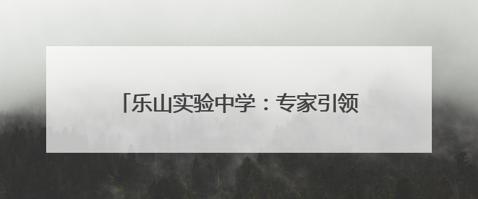 乐山实验中学：专家引领明方向，课题研讨促提升
